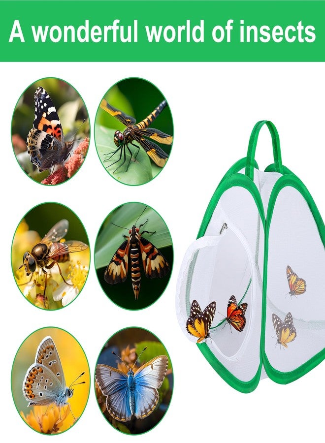 DECOHS 2 Pcs Mini Butterfly Habitat Cage- 10 x 8.8 x 8 Inch Collapsible Insect Mesh Cage- Portable Butterfly Net Habitat with Zipper for Transporting and Raising - Image 4